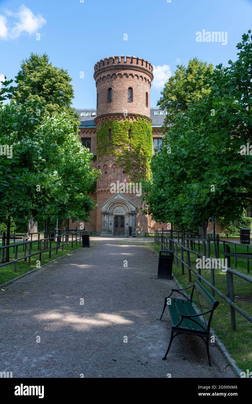 Mittelalterliches Gebäude Königliches Haus bewachsen im Park Lundagard in Lund Stockfoto