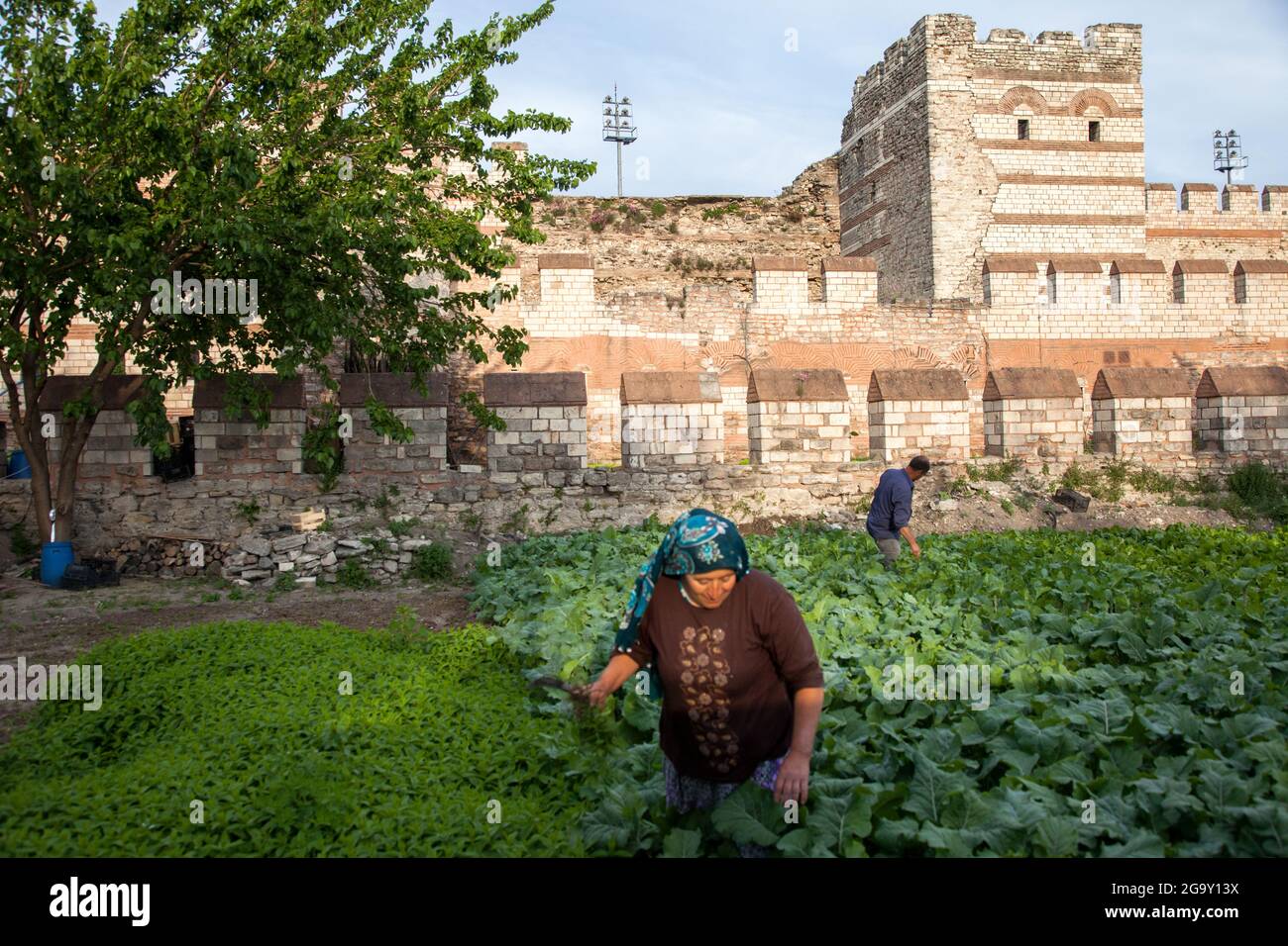 Fatih,Istanbul-Türkei - 05-20-2017:Blick auf die historischen byzantinischen Mauern und den Gemüsegarten Stockfoto