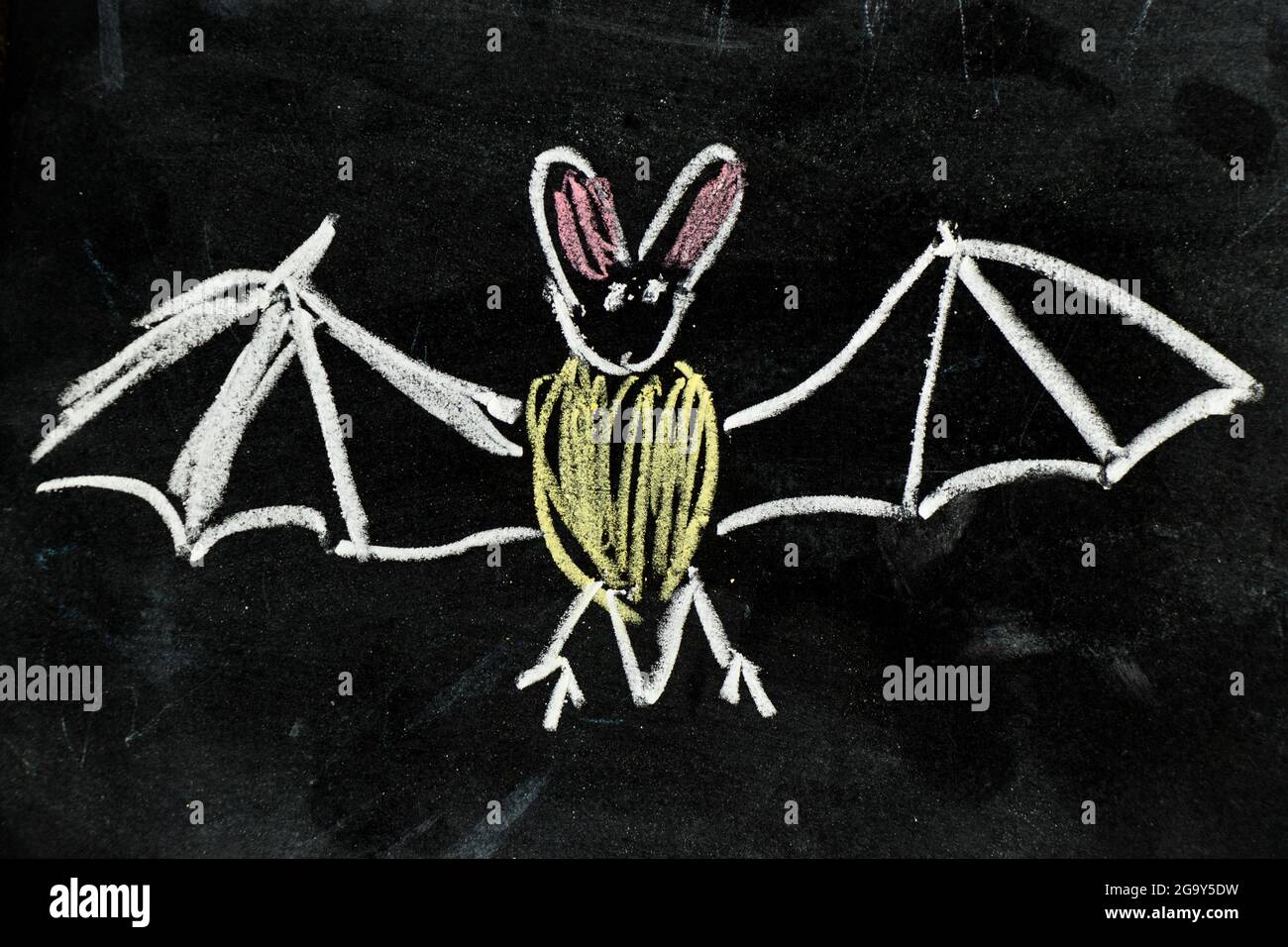 Kreide Handzeichnung als Fledermausform auf schwarzem Brett Hintergrund Stockfoto