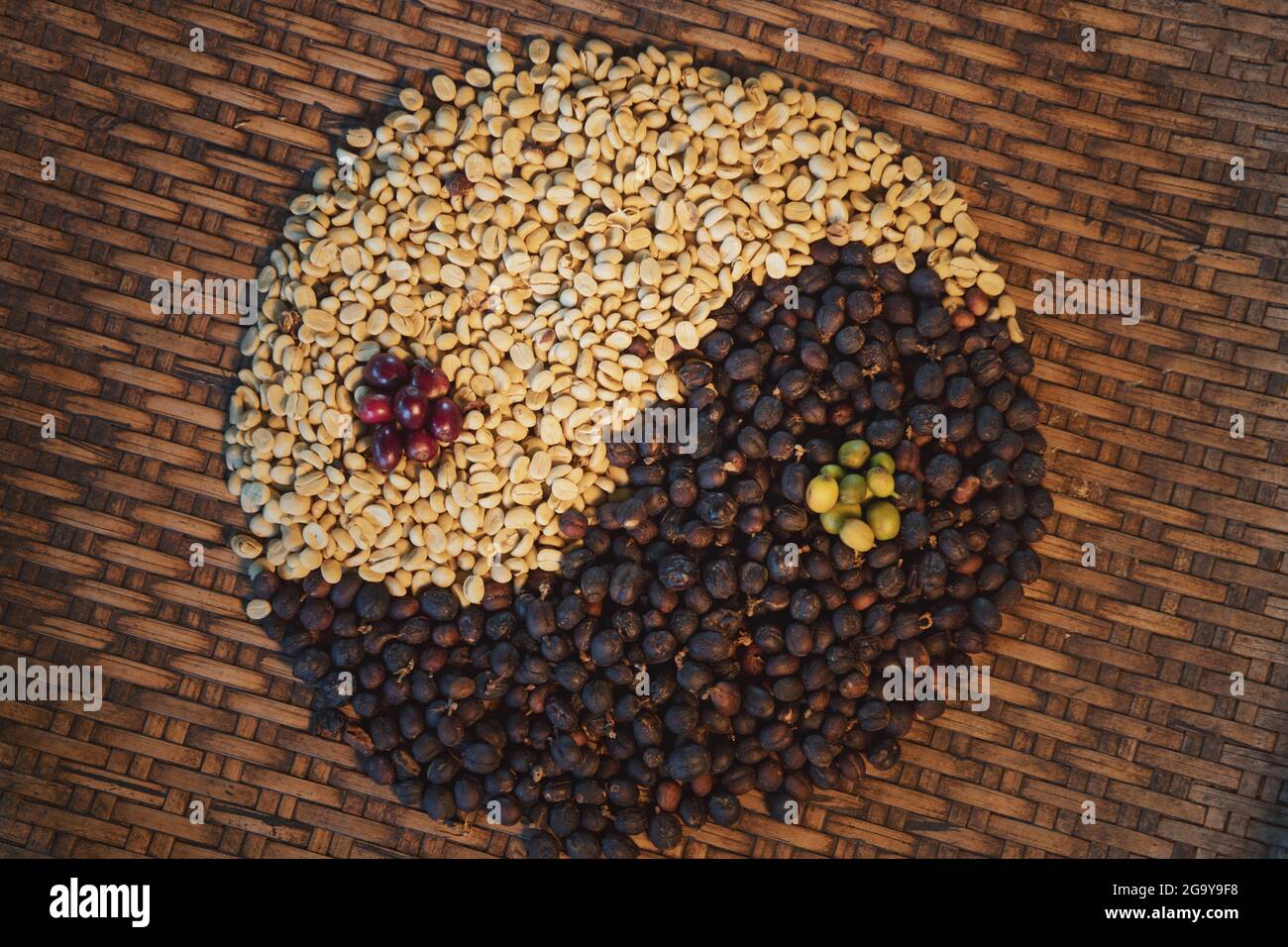 Kaffeebohnen in Form eines Yin und Yang-Symbols Stockfoto