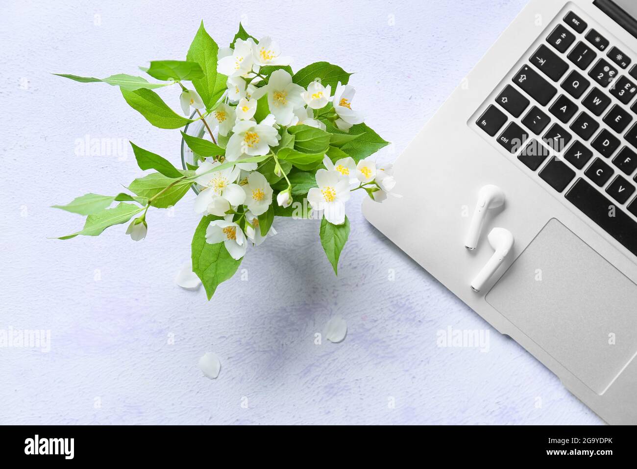 Moderner Laptop, Kopfhörer und wunderschöne Jasminblüten auf hellem Hintergrund Stockfoto