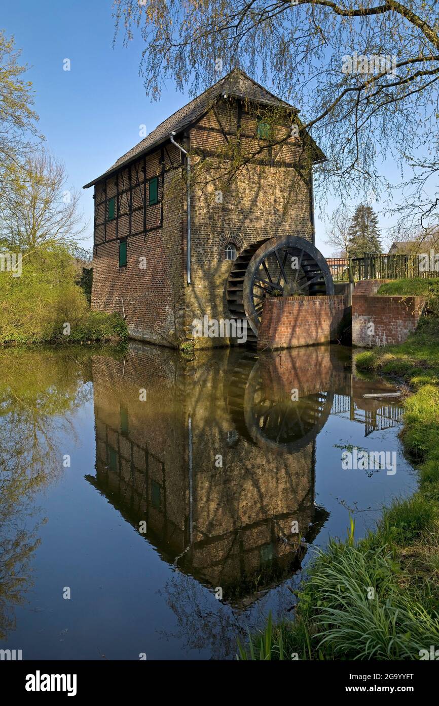 Obere Wassermühle in Schermbeck, Deutschland, Nordrhein-Westfalen, Ruhrgebiet, Schermbeck Stockfoto