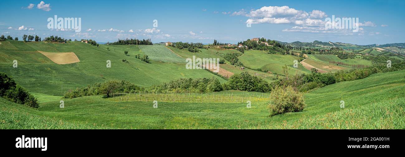 Die kultivierten Hügel rund um Castello di Serravalle - Schloss von Serravalle im Frühling. Provinz Bologna, Emilia und Romagna, Italien Stockfoto