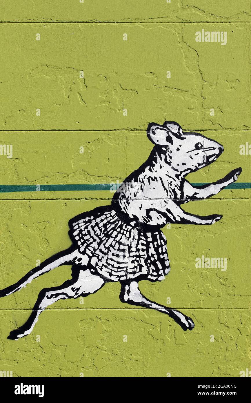 Rat Street Art Stockfoto