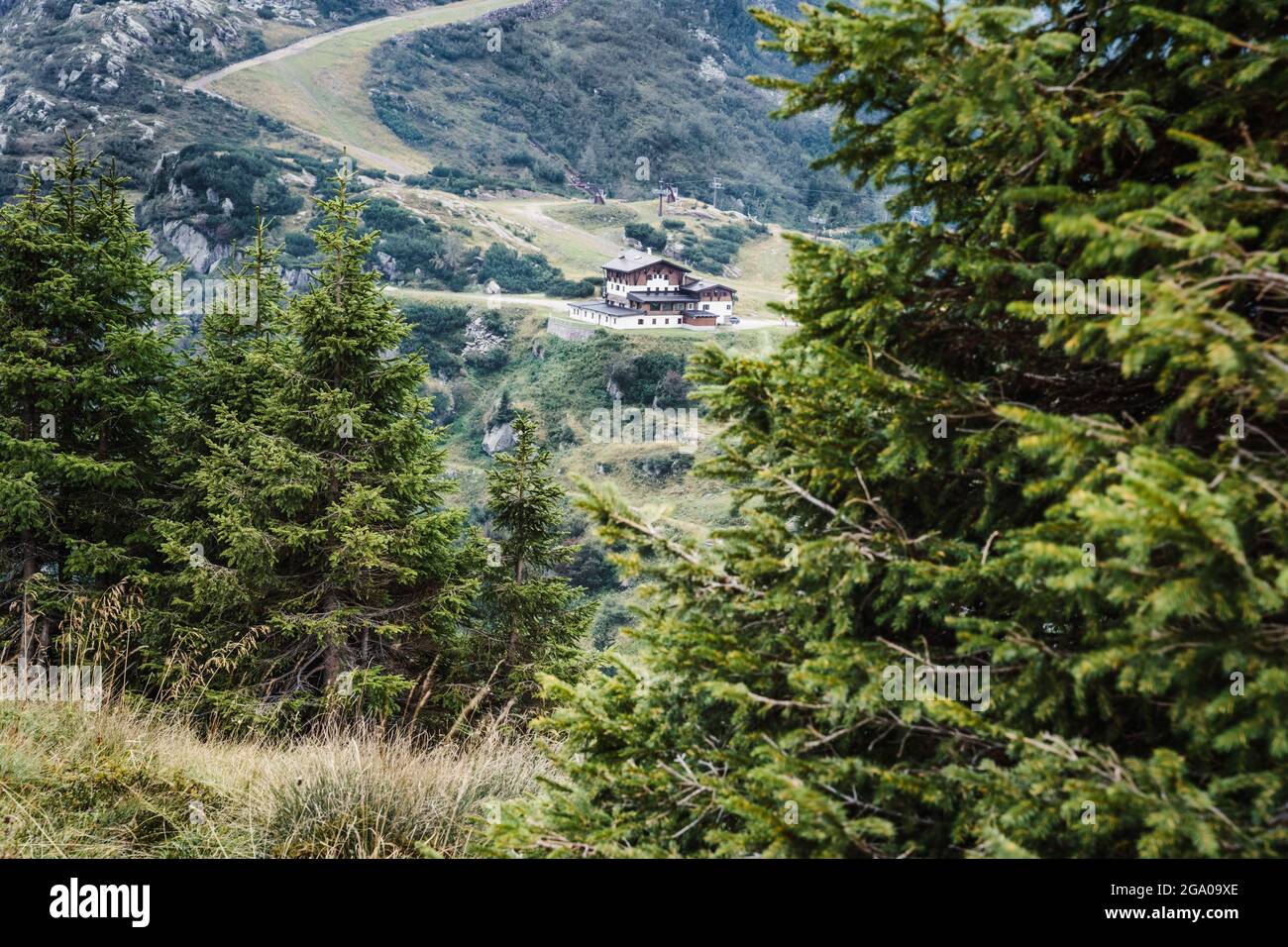 Blick vom Rollenpass, Italien, Dolomiten. Landschaft aus Sommerferien Stockfoto