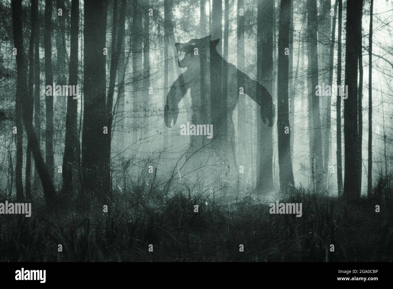 Ein Horrorkonzept... Von einem riesigen Werwolf, der nachts in einem nebligen Winterwald steht. Mit einer Grunge, texturierten Bearbeitung. Stockfoto