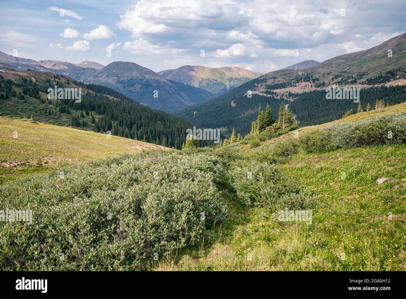 Klassische Rocky Mountain Landschaft, Colorado Stockfoto