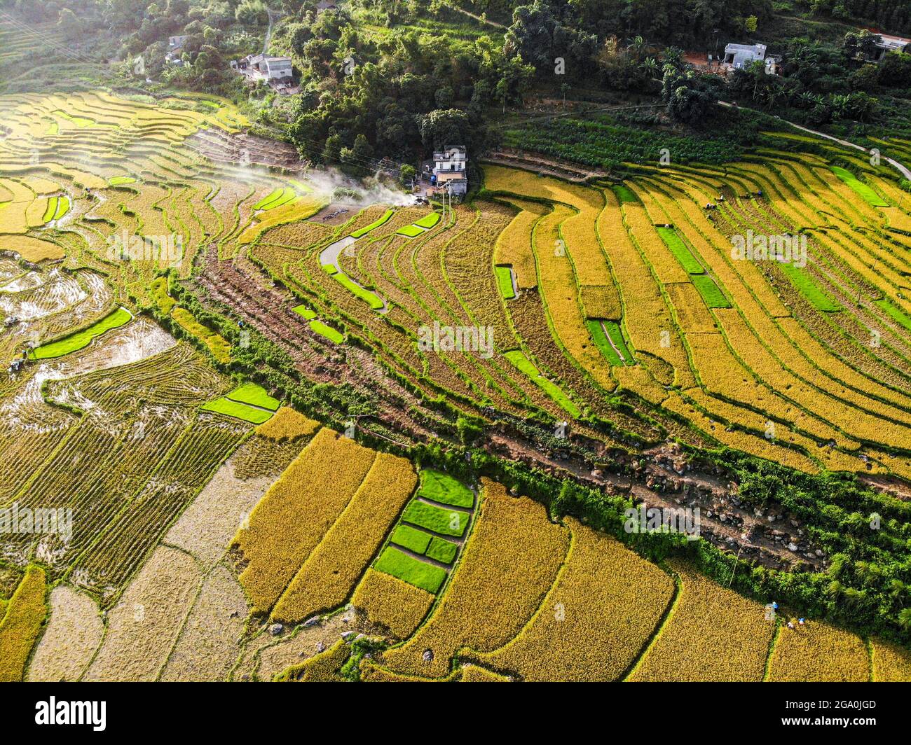 Schöne Reisterrasse in Binh Lieu Bezirk Quang Ninh Provinz Nordvietnam Stockfoto