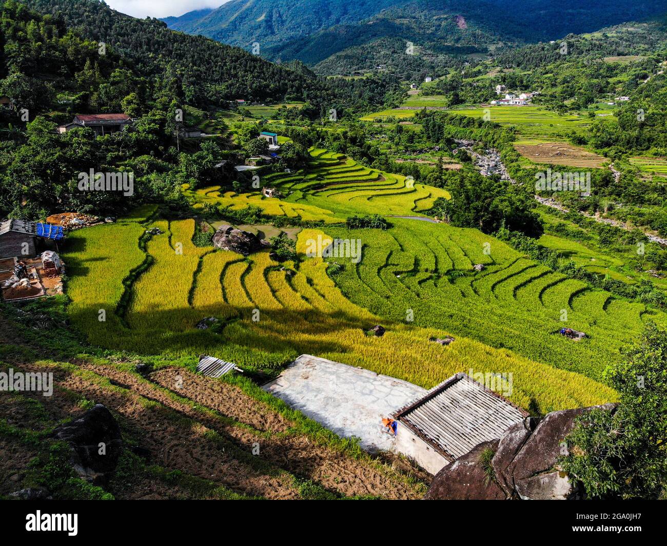 Schöne Reisterrasse in Binh Lieu Bezirk Quang Ninh Provinz Nordvietnam Stockfoto