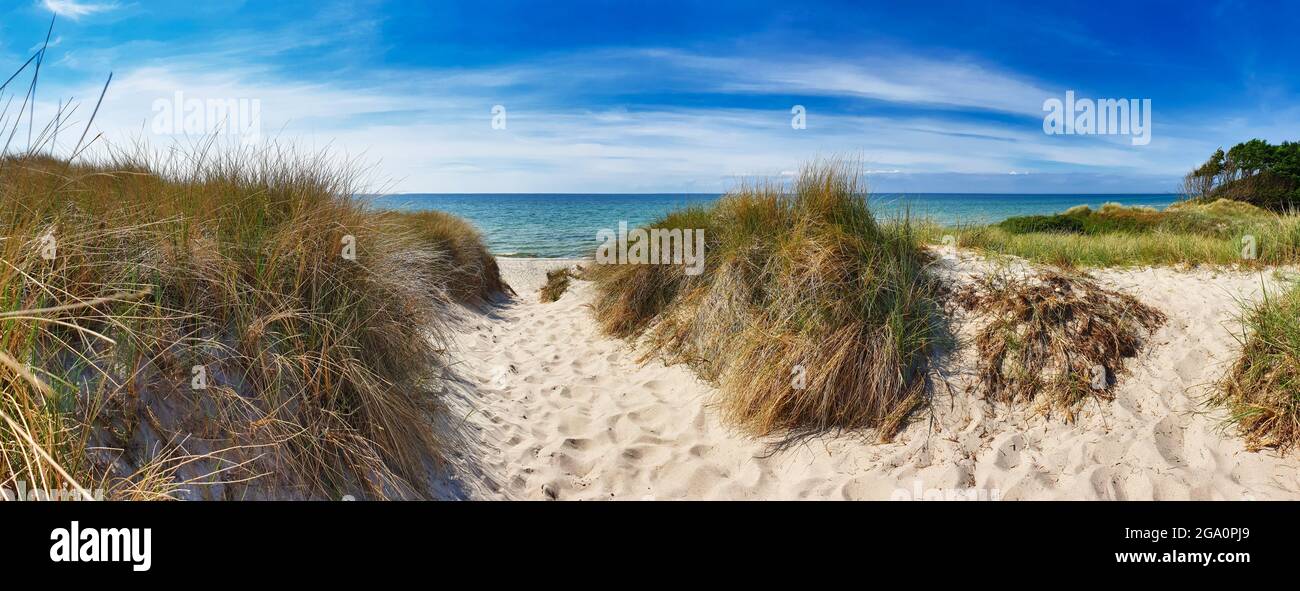Fußweg zum Strand 'Weststrand' an der Westküste der Insel Darß (Mecklenburg-Vorpommern, Deutschland) Stockfoto