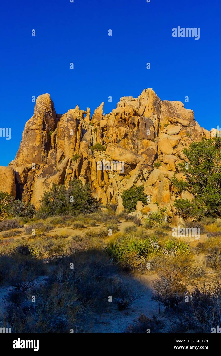 Joshua Tree Nationalpark, Kalifornien Stockfoto