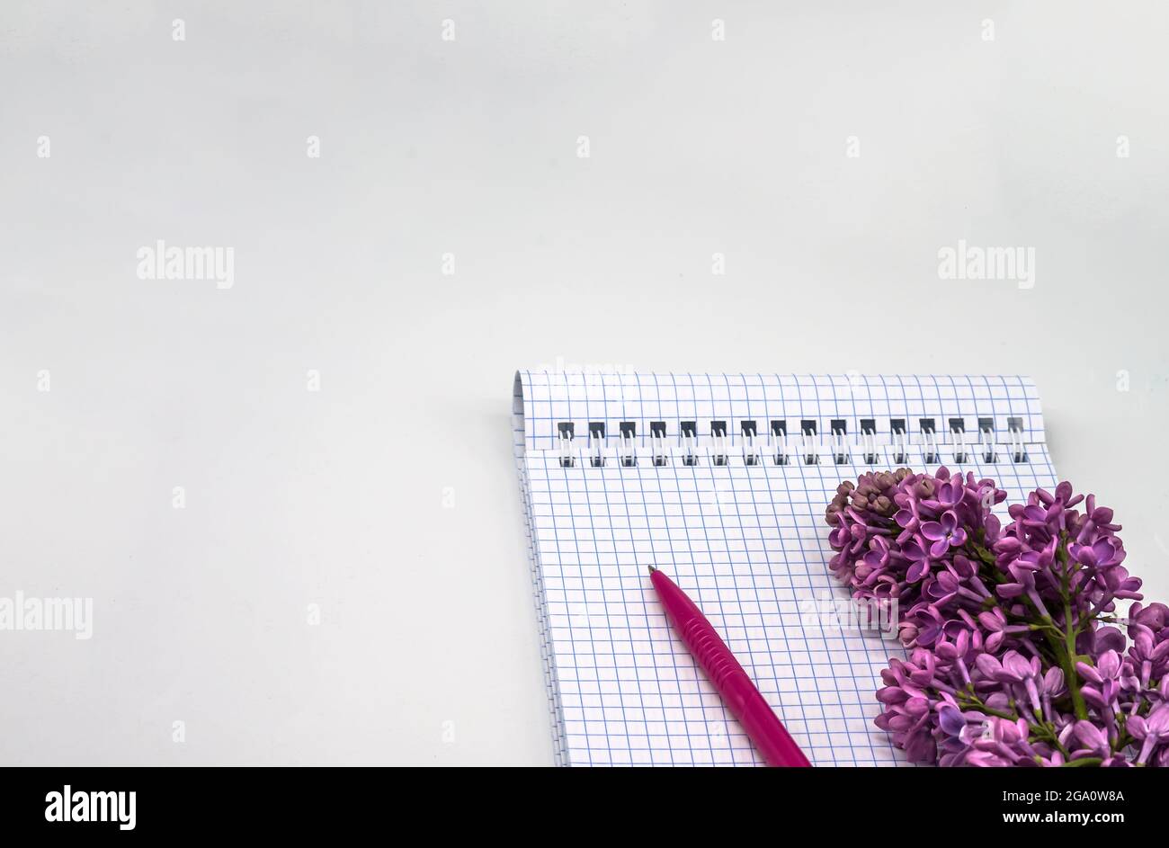 Notebook-Flieder auf weißem Hintergrund. Spiralnotizbuch und Stift. Notizblock mit Stift und Blumen. Stockfoto