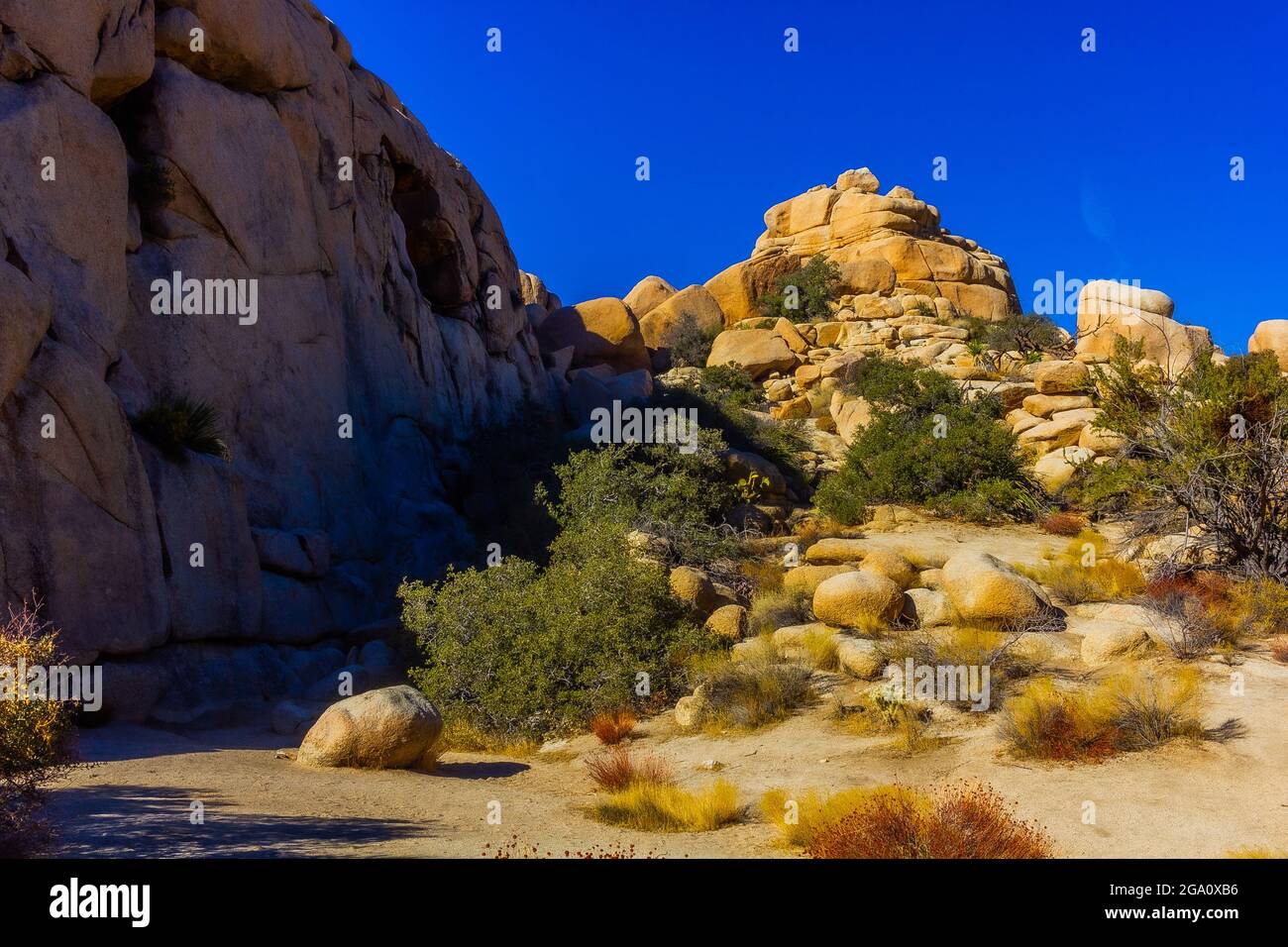 Joshua Tree Nationalpark, Kalifornien Stockfoto