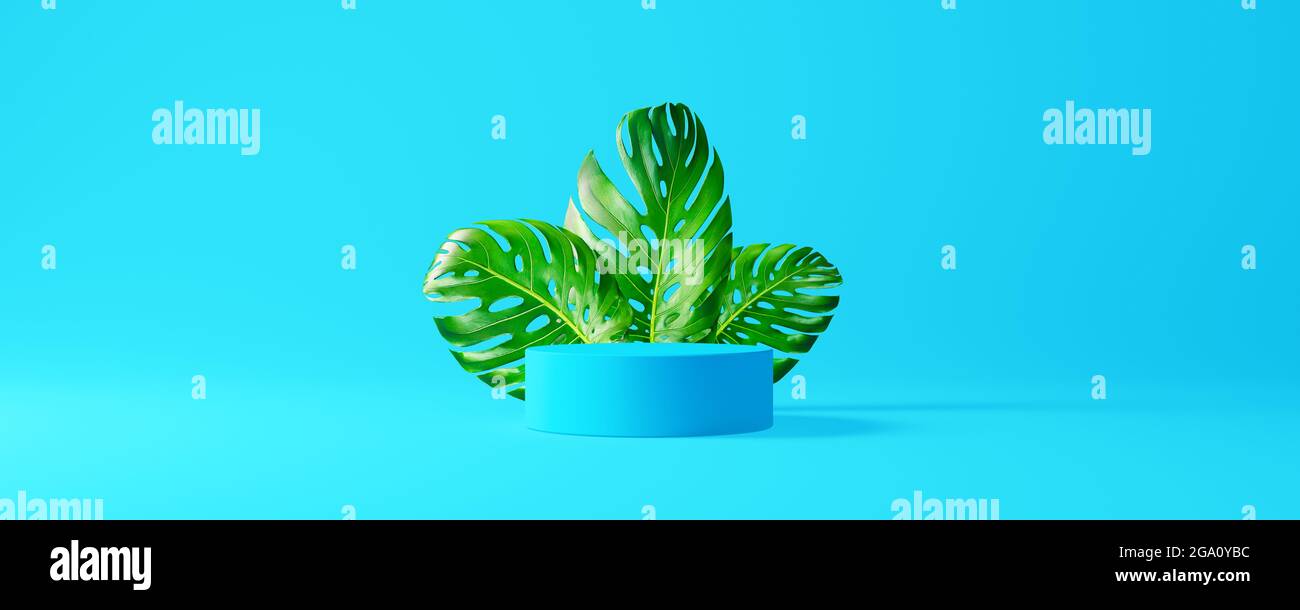 Modellup Podium für Produkt auf blauem Hintergrund mit grünen Pflanzenblättern 3d Rendering 3d-Illustration Stockfoto