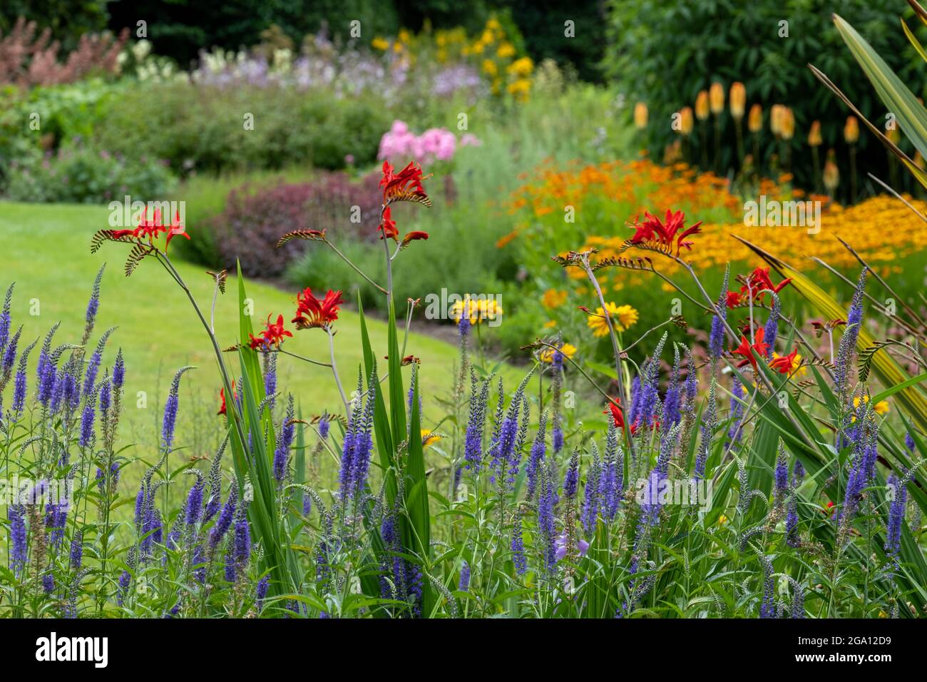 Bressingham Gardens in der Nähe von Diss in Norfolk. Farbenfroher Garten in naturalistischem Pflanzstil mit breiter Farbpalette gepflanzt. Stockfoto