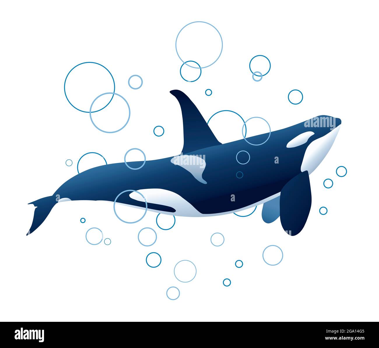 Illustration eines Killerwals oder Orcas, der durch blaue Blasen auftaucht Stockfoto