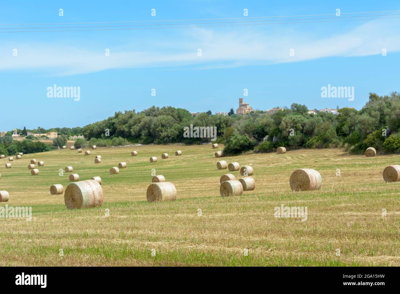 Strohstapel - Heuballen, gerollt in Stapel nach der Ernte von Weizenohren, landwirtschaftliches Feld mit gesammelten Pflanzen ländlichen. Balearen Stockfoto