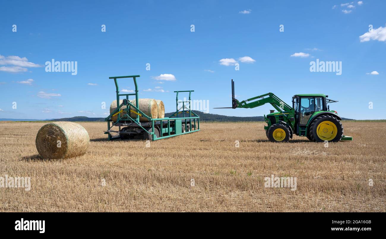 Traktor mit Ballenspieß auf einem Stoppelfeld, auf dem Strohballen geladen werden Stockfoto