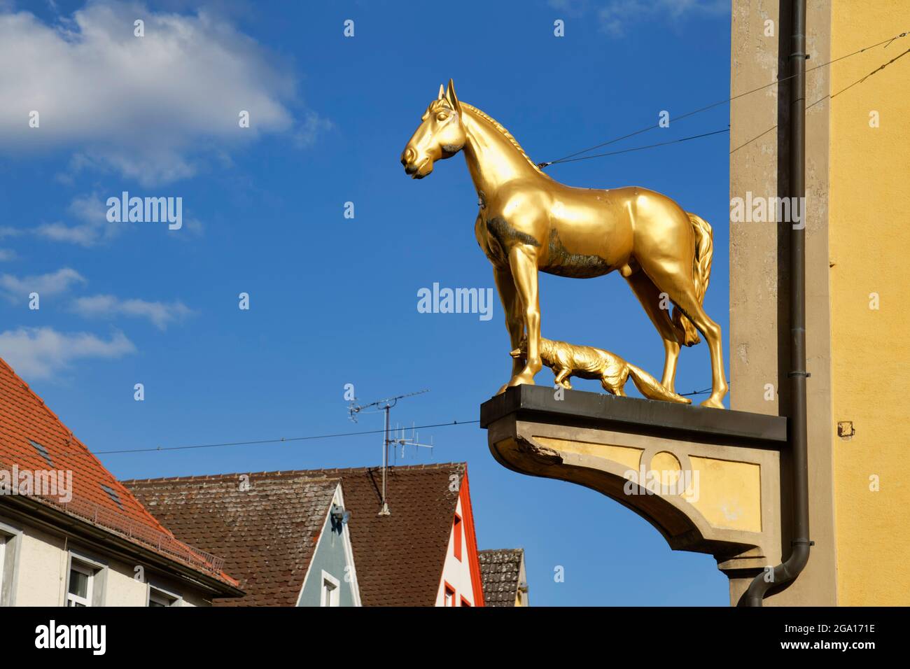 Ellwangen: Goldene Pferdeskulptur in einem Haus in der Altstadt, Landkreis Ostalb, Baden-Württemberg, Deutschland Stockfoto