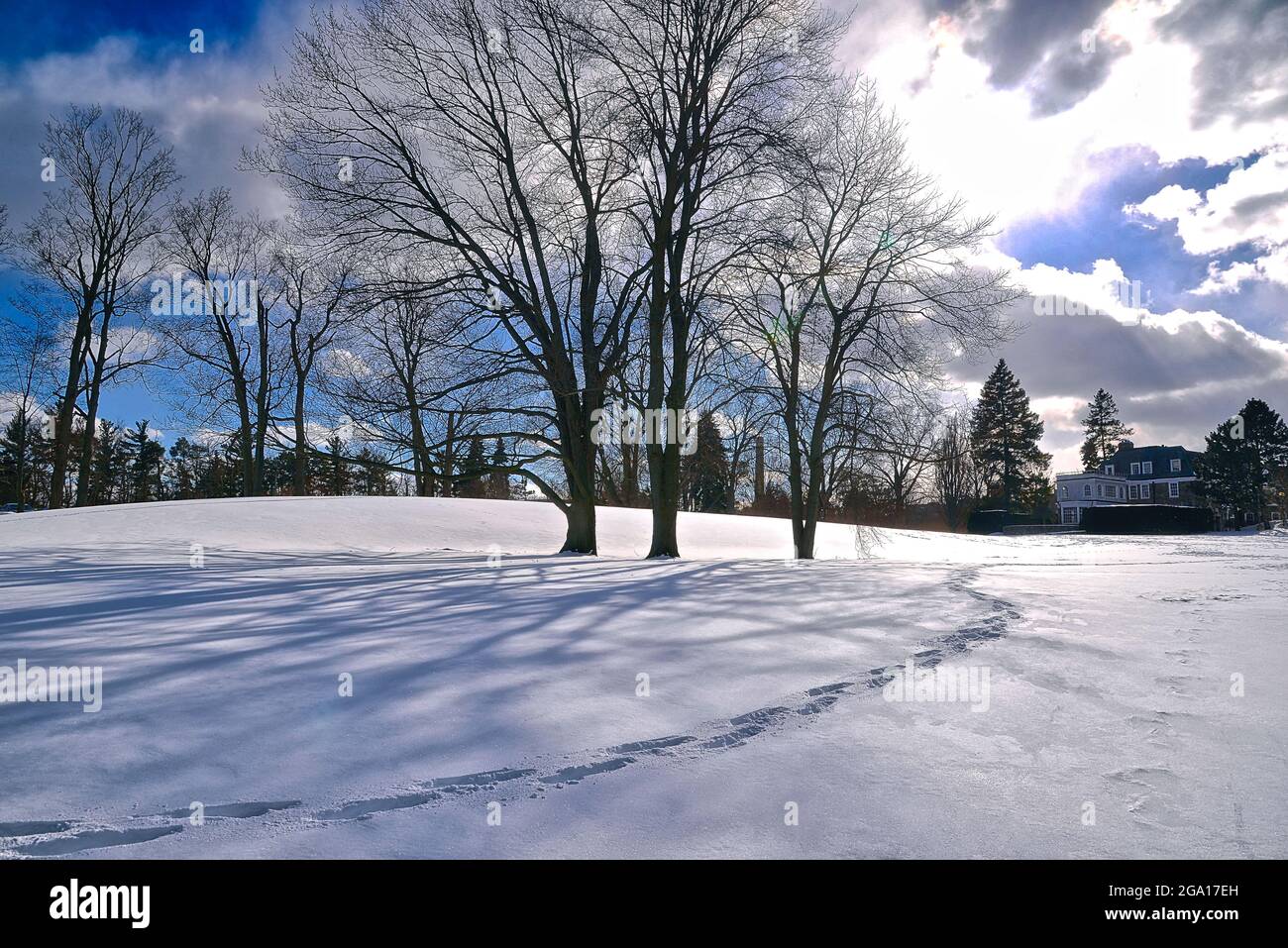 Winterlandschaft - der Fußabdruck auf dem schneebedeckten Park Stockfoto