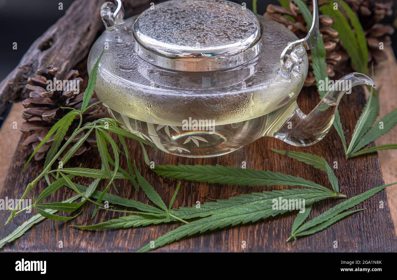 Cannabis Kräutertee aus Teekannen und Stiel mit grünen Marihuanablättern auf Holzhintergrund. Medizinische Zwecke für Schlaf und Angst. Kräutertee und Gesundheit Stockfoto