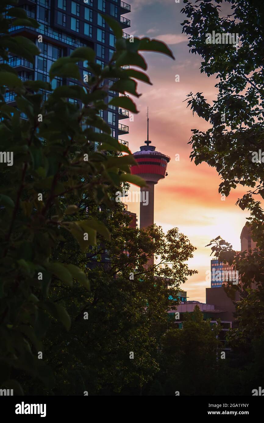 Der Sonnenaufgang Leuchtet Rund Um Den Calgary Tower Stockfoto