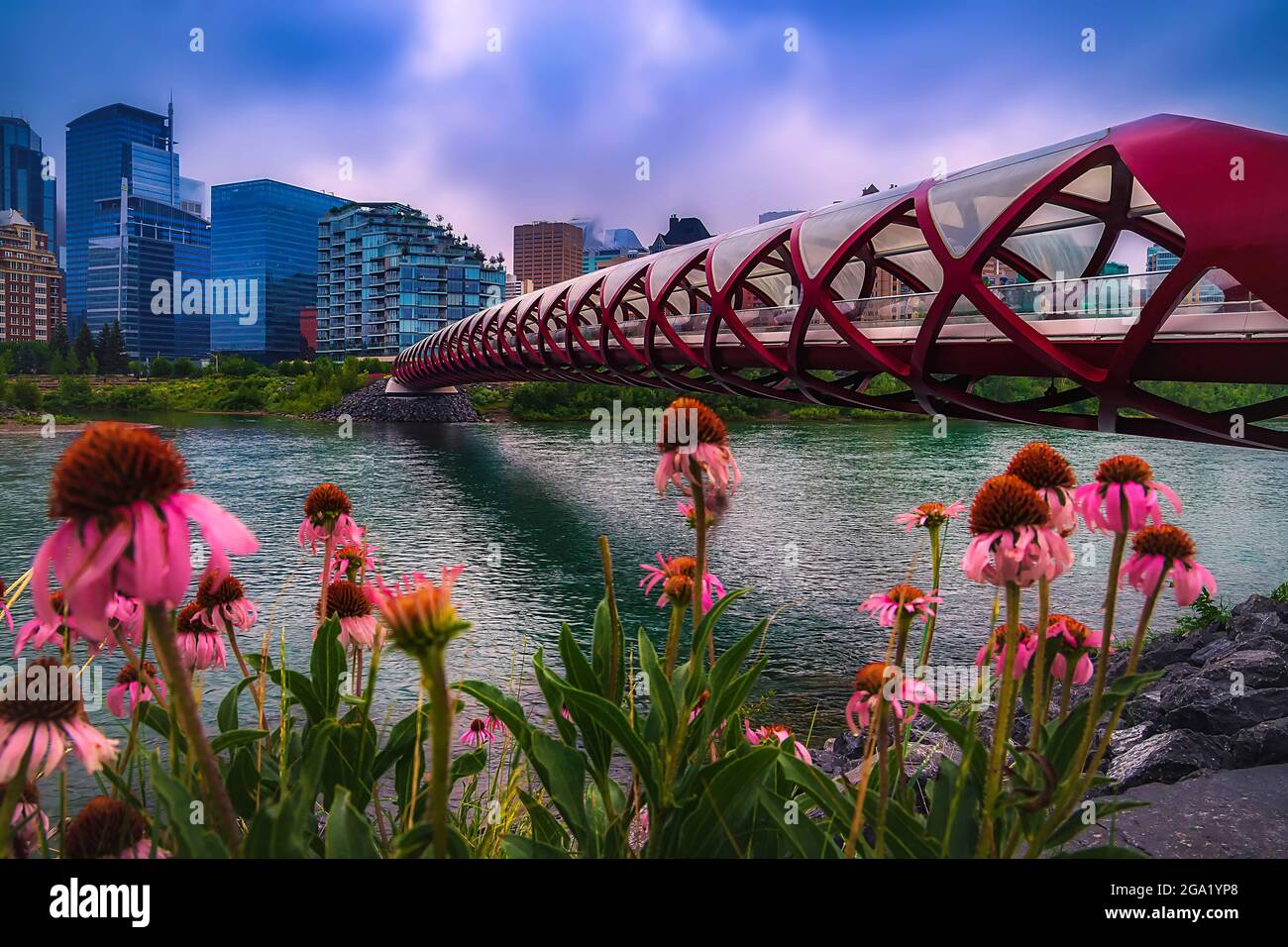 Sommerblumen An Der Friedensbrücke Stockfoto