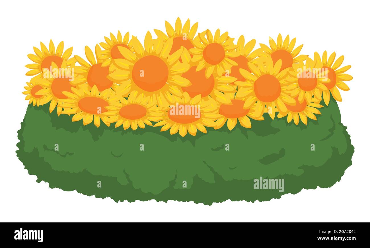 Schöne Anordnung mit gelben Blumen und flauschigen grünen Trick Nelken, wie dekoratives Herzstück eines Tisches, isoliert über weißem Backgrou Stock Vektor