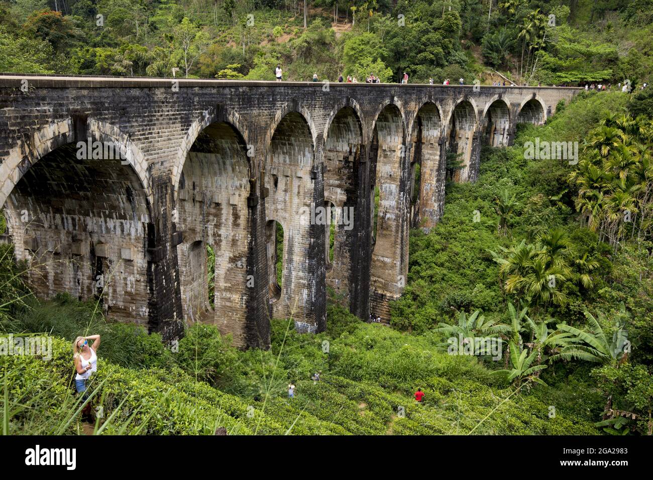 Nine Arch Bridge zwischen Ella und Demodra, Hill Country, Sri Lanka; Ella, Badulla District, Sri Lanka Stockfoto