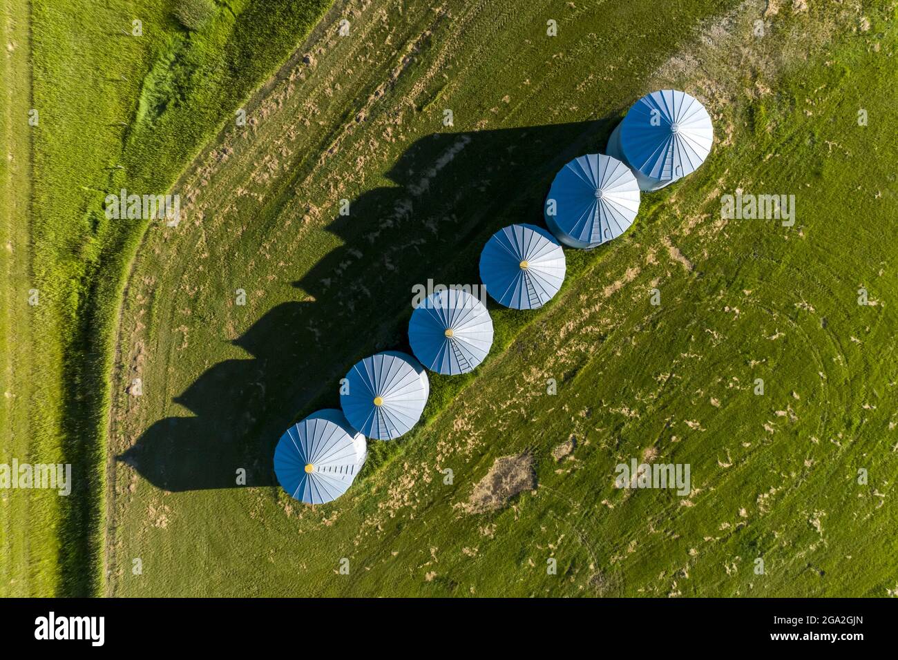Luftaufnahme direkt über großen Metallkorn-Lagerbehältern in einem grünen Feld mit langen Schatten; Alberta, Kanada Stockfoto