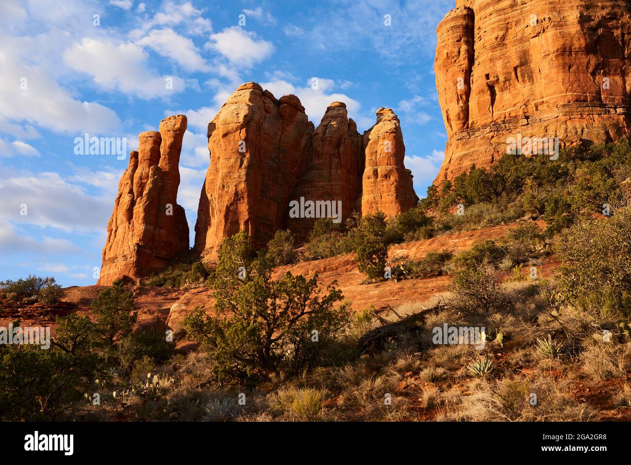 Dramatische Sicht auf die roten Felsformationen in Sedona; Sedona, Arizona, Vereinigte Staaten von Amerika Stockfoto