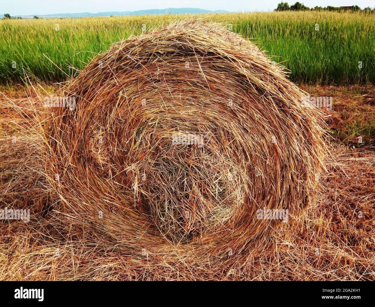 Heuballen im Landkreis Maramures Stockfoto