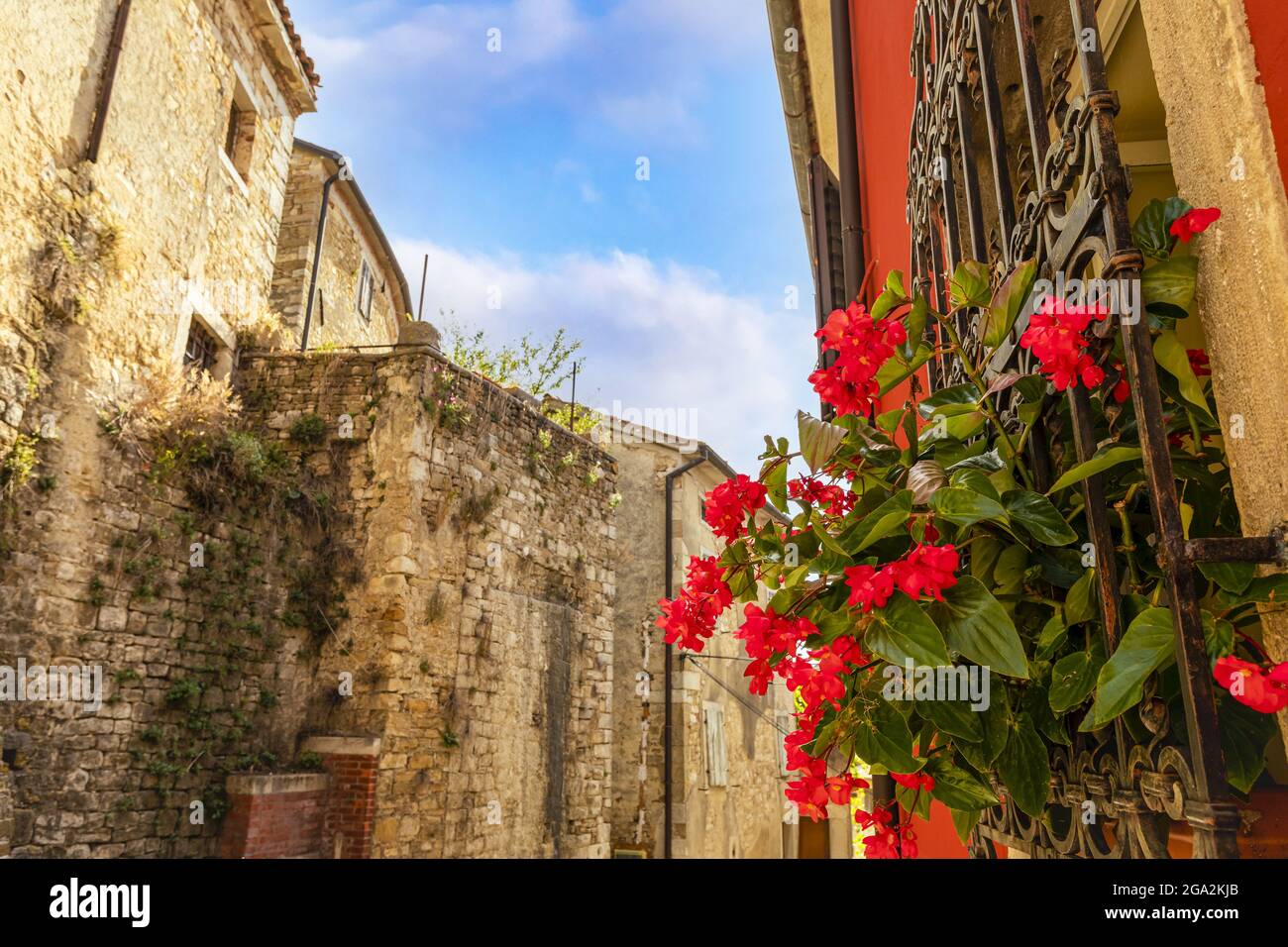 Nahaufnahme von hellen, roten Blumen, die durch einen eisernen Fenstergrill blühen, und den alten Steingebäuden, die die Straßen des mittelalterlichen Dorfes Mot säumen... Stockfoto
