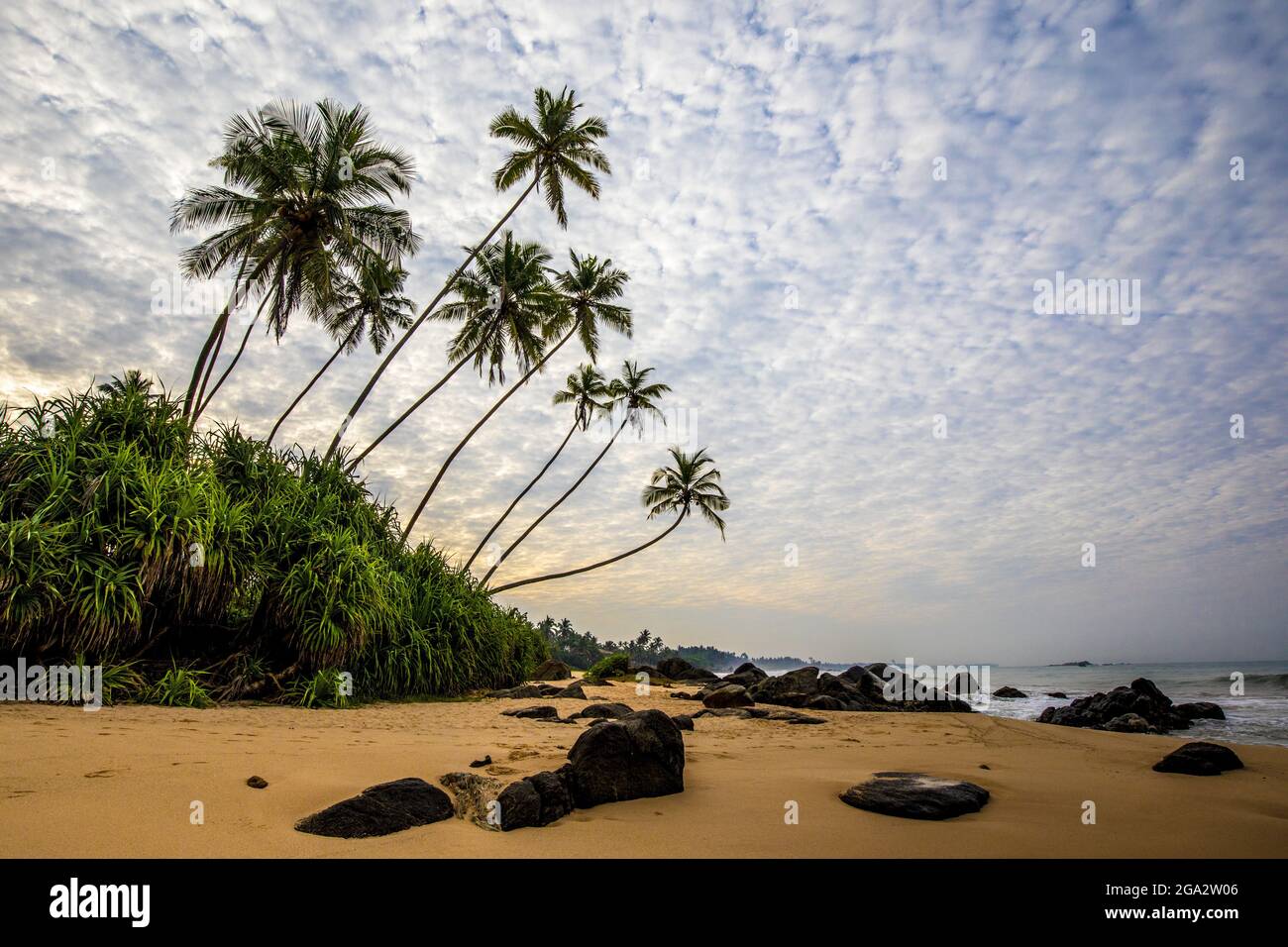 Palmen (Arecaceae) Felsen und Sand am Indischen Ozean Ufer des Kumu Beach; Balapitiya, Galle District, Sri Lanka Stockfoto