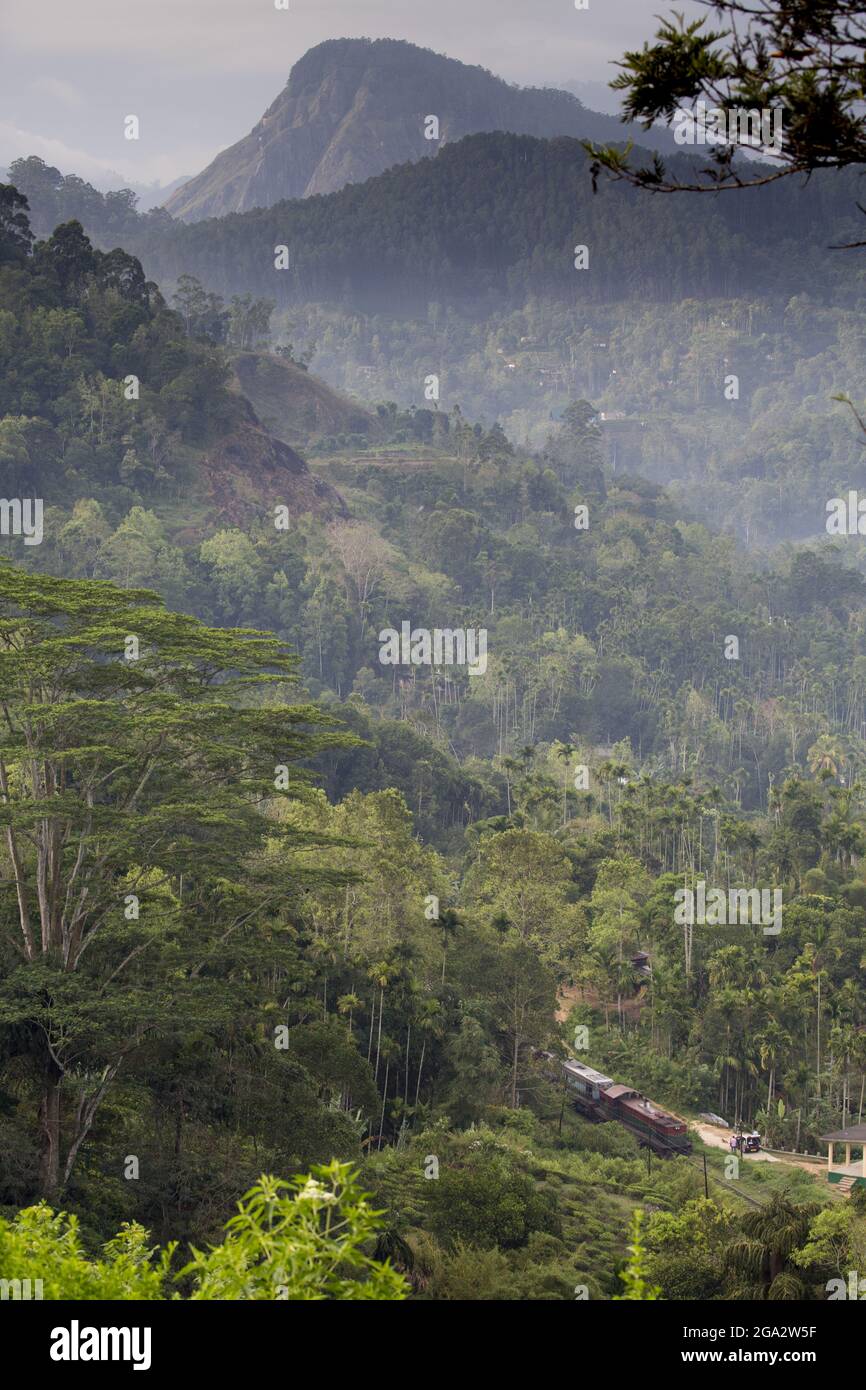 Hill Train von Ella durch den Wald, Ankunft in Demodara mit Little Adam's Peak in der Ferne Stockfoto