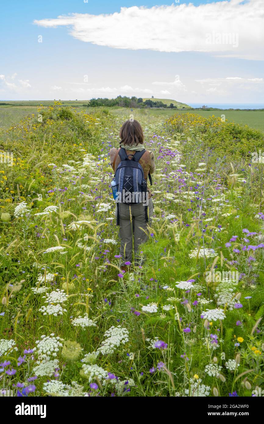 Blick von hinten auf eine Frau, die in einem Rucksack auf einer Wildblumenwiese steht und den Blick auf die Küste mit Torre Sant'Emiliano im ... Stockfoto
