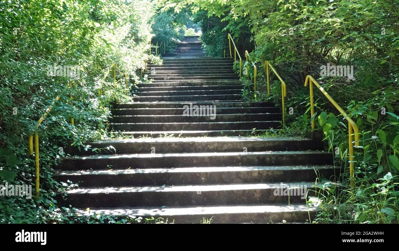 Die Treppen im Kurort teplice nad becvou sind beidseitig mit Büschen gesäumt. Gelbes Metallgeländer. Stockfoto