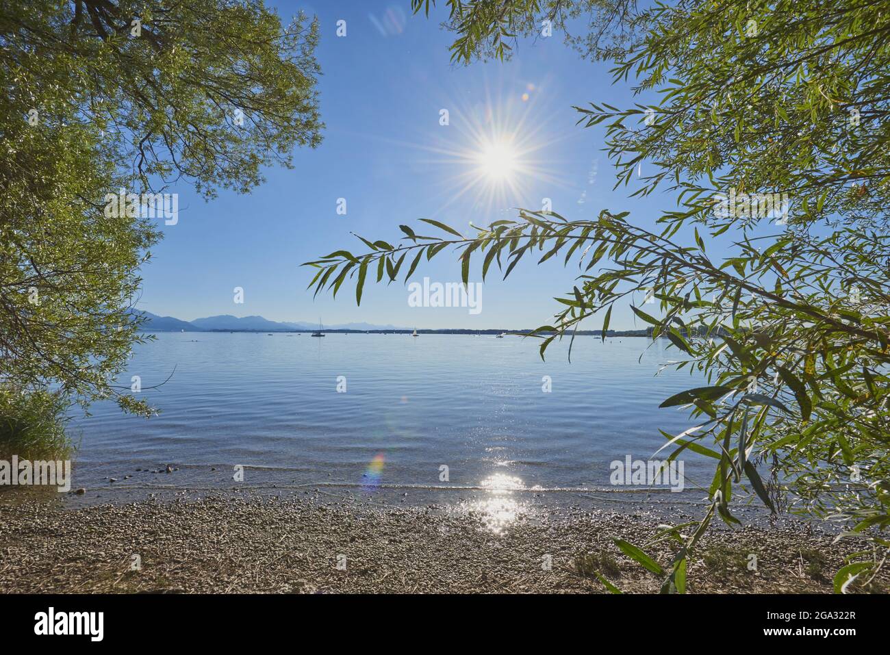 Chiemsee, mit hellem Sonnenlicht, das an der Wasseroberfläche am Ufer reflektiert wird; Bayern, Deutschland Stockfoto