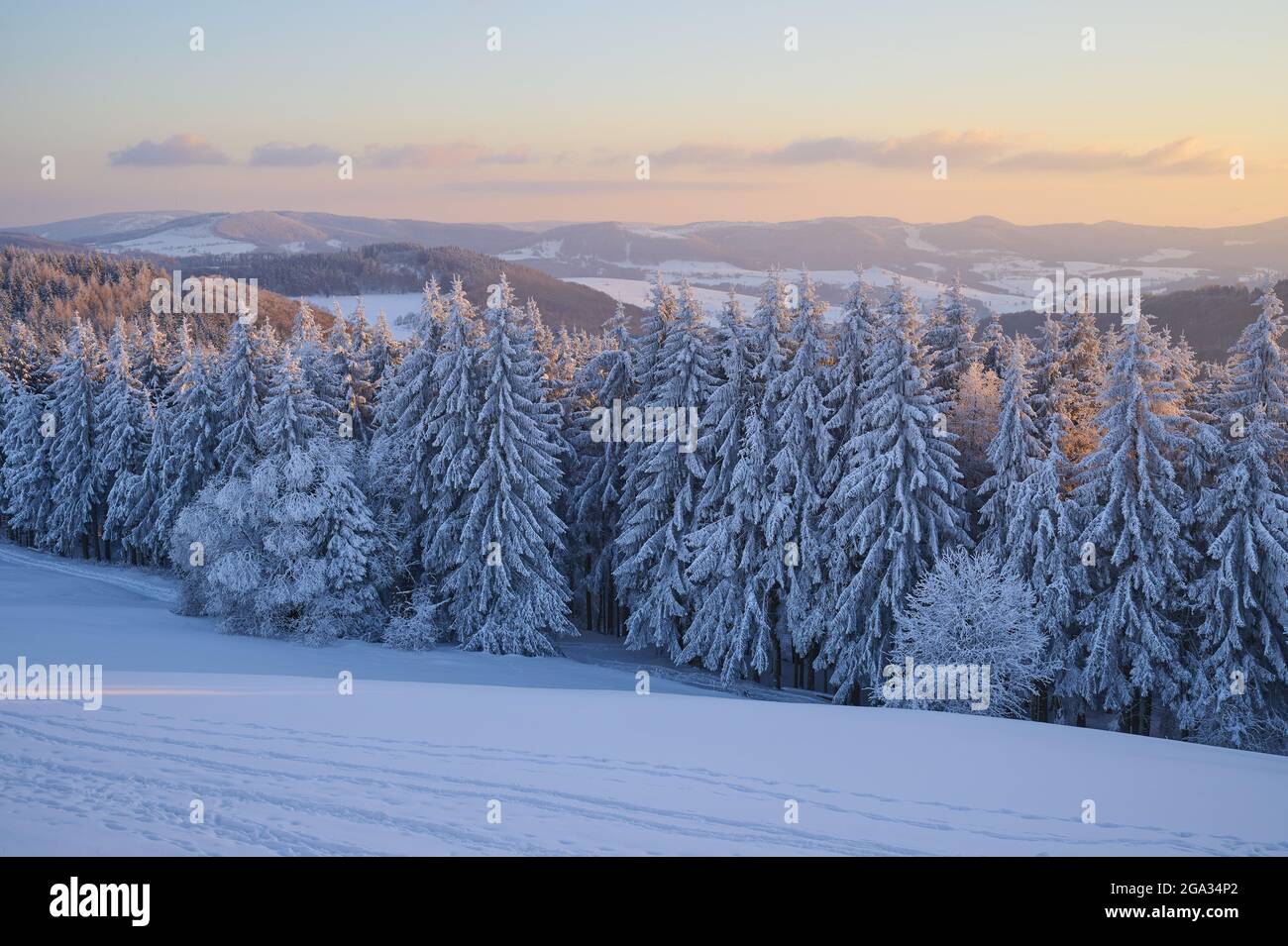 Winterlandschaft bei Sonnenaufgang, Wasserkuppe, Rhongebirge; Gersfeld, Hess, Deutschland Stockfoto