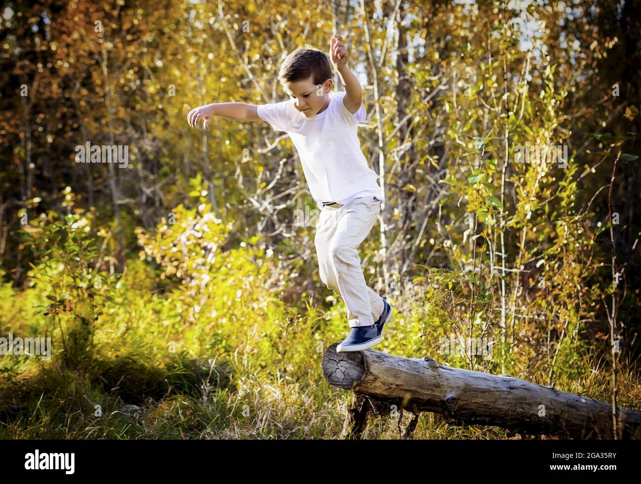 Ein kleiner Junge springt während der Herbstsaison in einem Stadtpark von einem Baumstamm ab; Edmonton, Alberta, Kanada Stockfoto