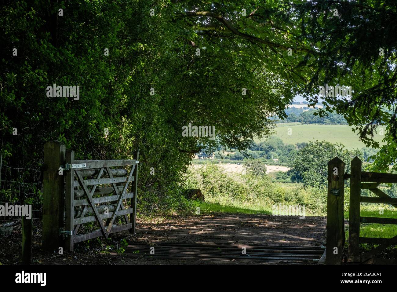 Im Schatten der überhängenden Bäume auf dem Ackerland in Worcestershire, England, liegt ein Farmtor offen. Stockfoto