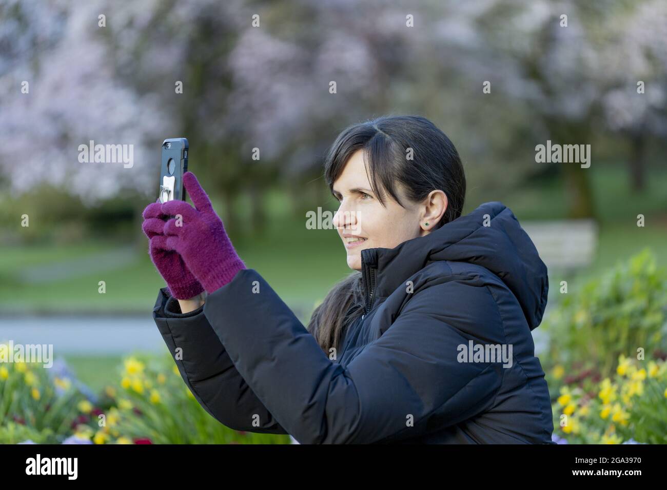 Frau mittleren Alters, die tagsüber im Stanley Park sitzt und mit einem Smartphone ein Foto von ihrer Aussicht macht; Vancouver, British Columbia, Kanada Stockfoto