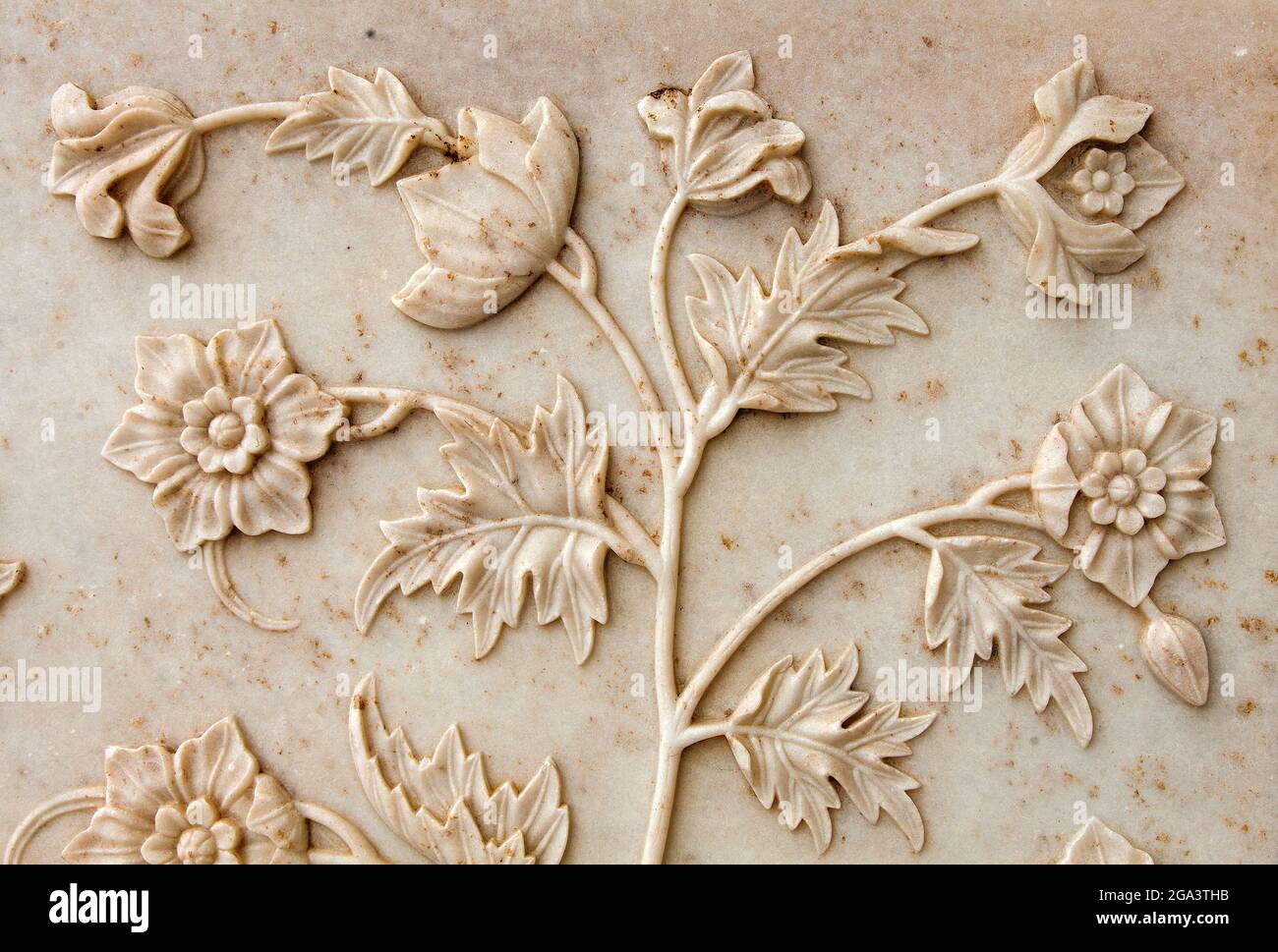 Taj Mahal, Detail der Marmorwand, das Beste der indischen historischen Sehenswürdigkeiten, UNESCO Stockfoto