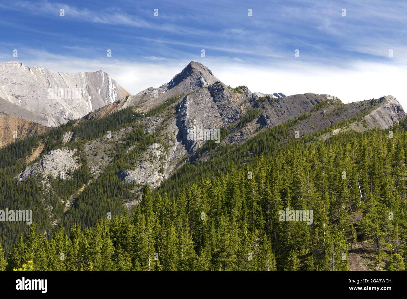 Kananaskis Country Scenic Landscape Blick auf den Wasootch Mountain Peak und die Waldhänge in den Ausläufern der kanadischen Rocky Mountains in Alberta Stockfoto