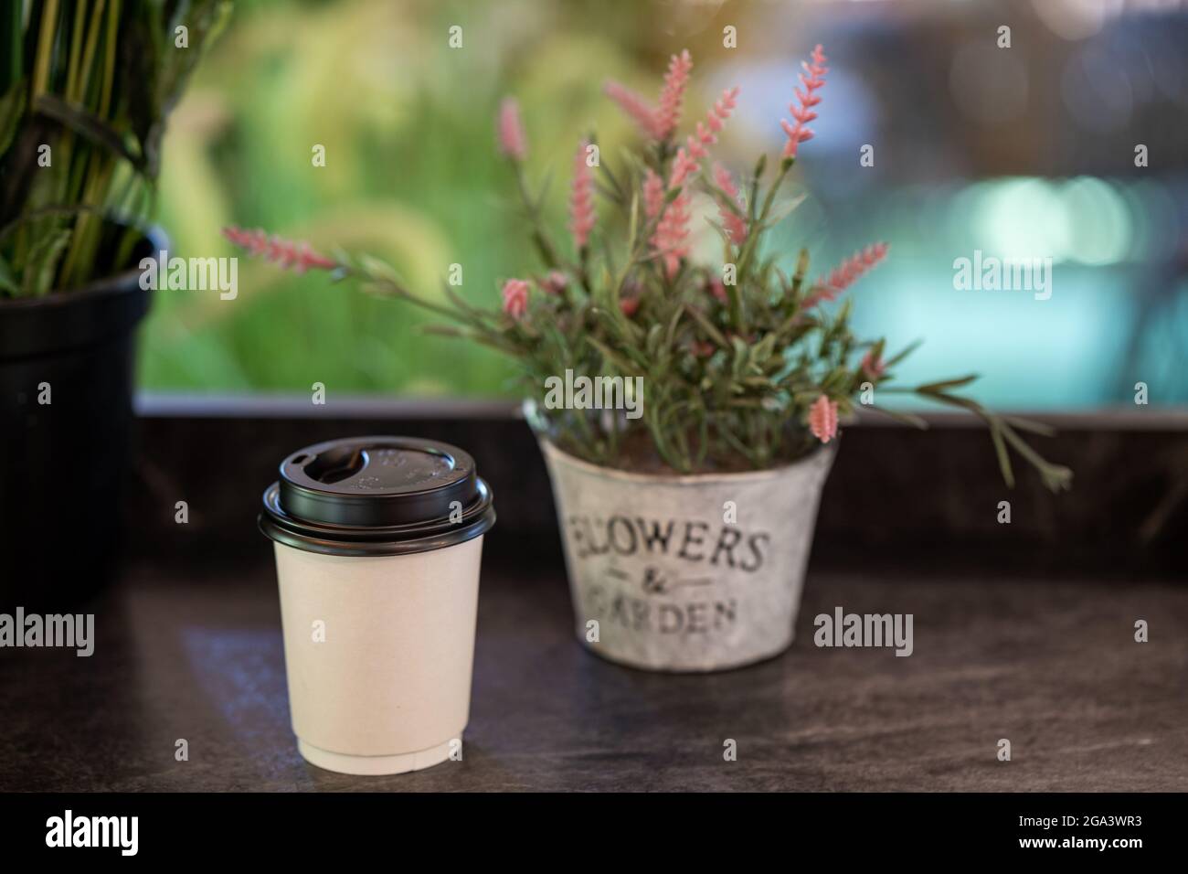 Tasse Kaffee neben einer Blumentopf auf dem Tisch Stockfotografie - Alamy