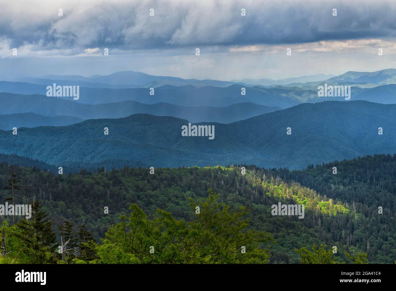 Clingmans Dome mit einem Lichtstrahl, Great Smoky Mountains National Park, Tennessee Stockfoto