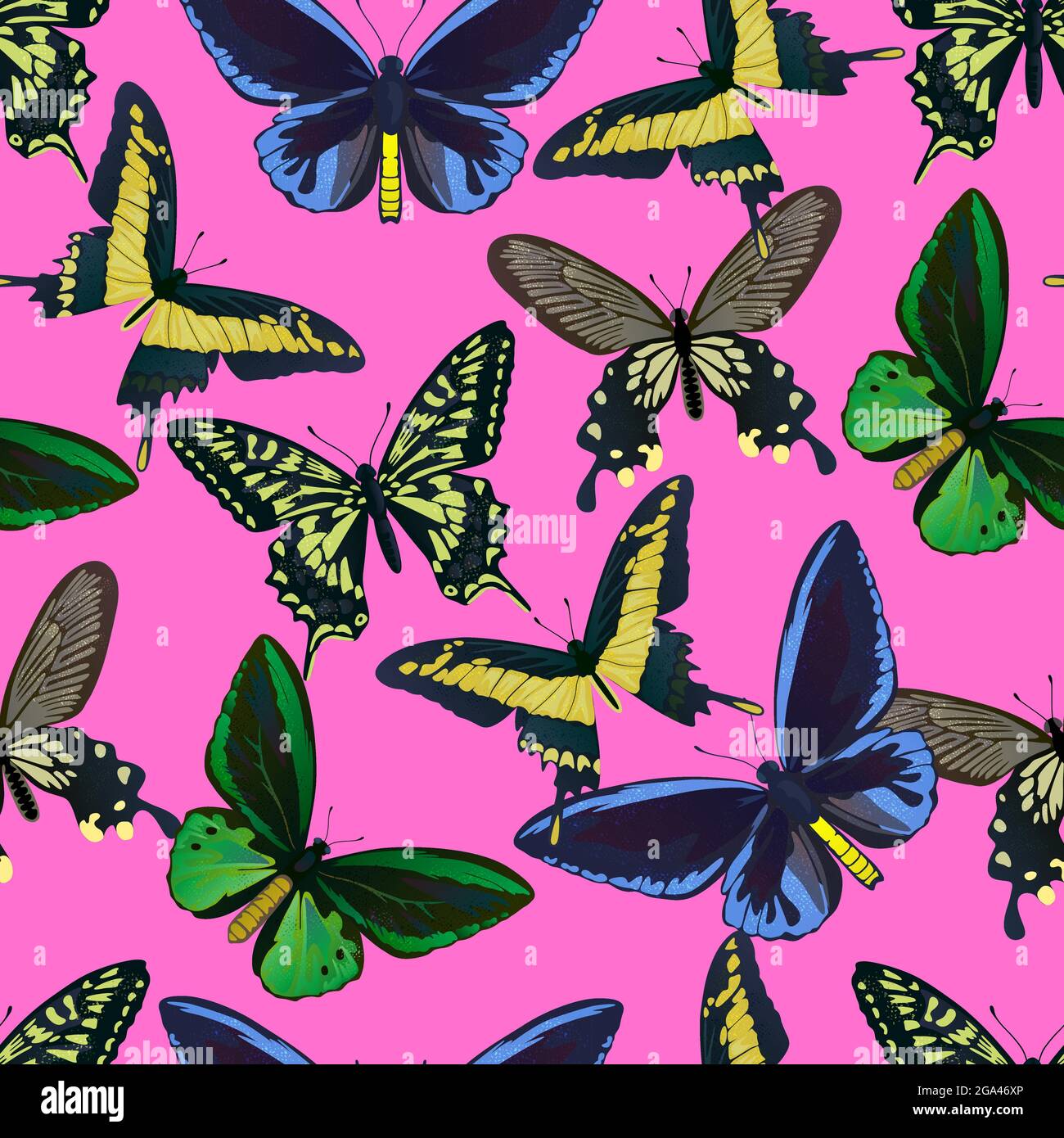 Nahtloses Muster mit bunten großen tropischen Schmetterlingen, Schwalbenschwanz und Vogelflügel, Papilio und Ornitoptera papilionidae. Stock Vektor