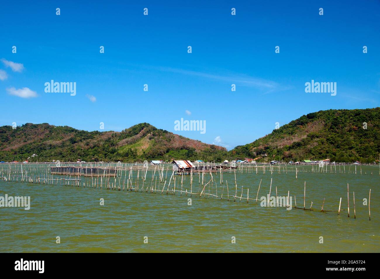 Thailand: Fischfarmen spielen eine wichtige Rolle für Gemeinden in der Nähe von Ko Yo (Yo Island) und Thale SAP Songkhla (Songkhla Lake). Songkhla war der Sitz eines alten malaiischen Königreichs mit starkem Srivijayan-Einfluss. In der Antike (200 n.Chr. - 1400 n.Chr.) bildete Songkhla den nördlichen Teil des malaiischen Königreichs Langkasuka. Der Stadtstaat wurde dann ein Nebenfluss von Nakhon Si Thammarat, der bei mehreren Versuchen zur Unabhängigkeit Schaden erlitt. Stockfoto