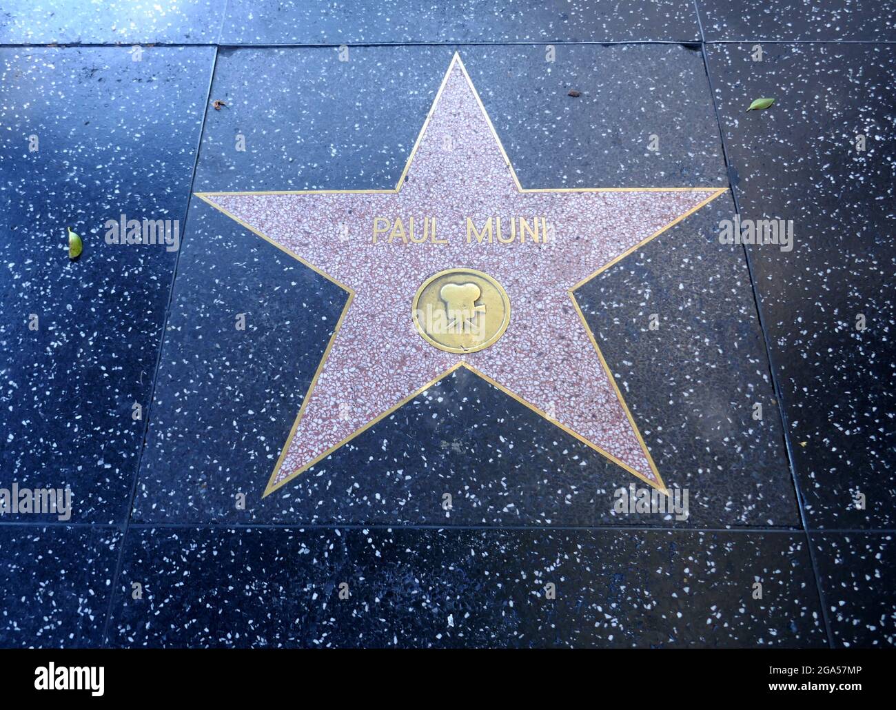 Hollywood, Kalifornien, USA 28. Juli 2021 EIN allgemeiner Blick auf die Atmosphäre von Schauspieler Paul Munis Star auf dem Hollywood Walk of Fame am 28. Juli 2021 in Hollywood, Kalifornien, USA. Foto von Barry King/Alamy Stockfoto Stockfoto