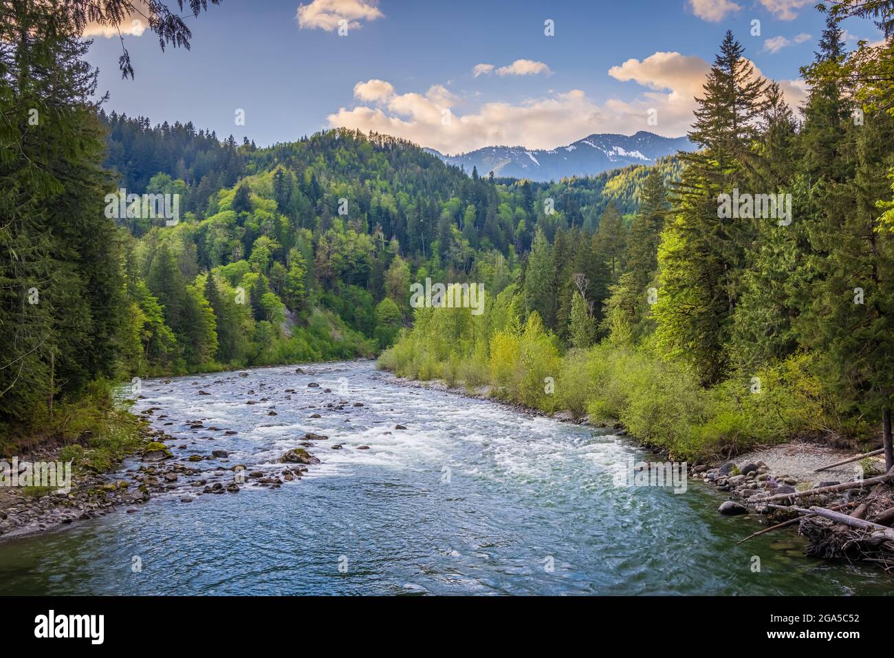 Middle Fork Snoqualmie River NRCA im Bundesstaat Washington. Stockfoto
